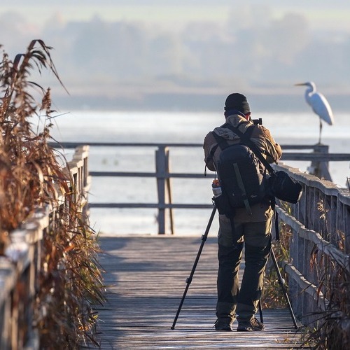 Photographe